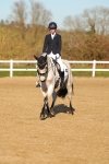 SBM_004733