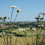 View of the town