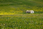 Mountain hut