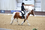 SBM_006309