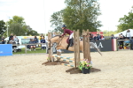 SBM_39481