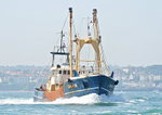 060617 BM478 IMG_9545