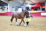 SBM_00464