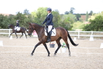 SBM_015365