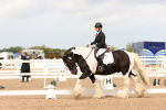 SBM_03849
