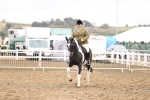 SBM_01435