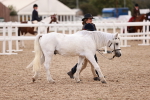SBM_18429