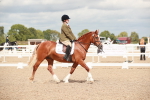 SBM_05851