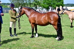 SBM_08060
