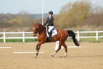 SBM_003392