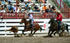 3HRodeo7-22-25_CFD_03314_