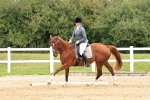 SBM_001345