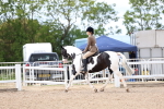 SBM_15811