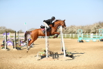 SBM_000946