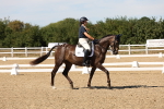 SBM_003711