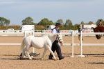 SBM_17660