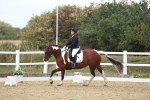 SBM_003846