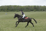 BVHT 140517  IXC -461