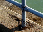 Shoreham Fort - 63