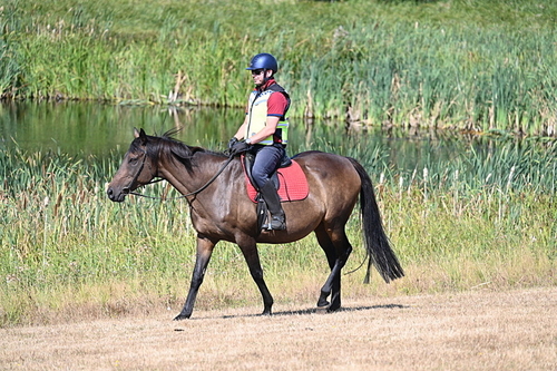 WJ7_8047