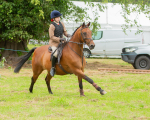 Dunblane show-316