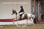 BPP_8864