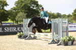J28 - Senior Horse & Pony 60cm Championships portfolio