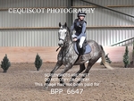 BPP_6647