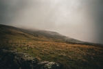 DSCF4192