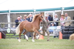 SBM_09746