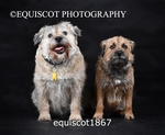 equiscot1867