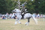 WJ7_5034