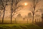 z2352 Evening Mist, Chale