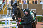 141125-Race 6-Lucky Bere-1097