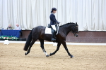SBM_000993