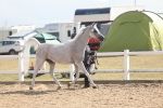 SBM_06841