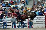 3HRodeo7-26-25_CFD_oooo2992_