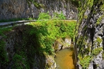 Western Rhodopes Mountains, Smolyan Province, Bulgaria