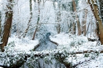 Winter portfolio