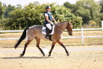 SBM_006516