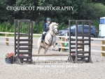 BPP_1538