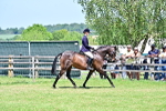 SBM_17393