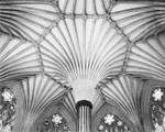 1475 - Wells Cathedral - Chapter House - Ceiling 1