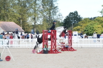 SBM_38827