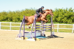 SBM_001582