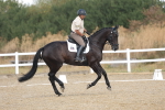 SBM_008582