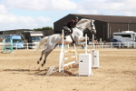 SBM_006907