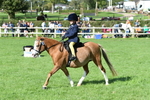 SBM_50354
