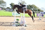 Cls 10 Foxhunter and 1.20m portfolio