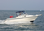 140907 COCOBOLA BOSTON WHALER WT7A5603